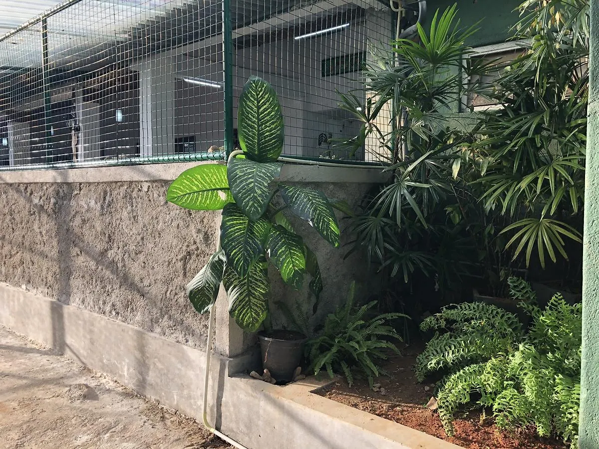山林小屋 康提Udawatta Kele别墅 斯里兰卡