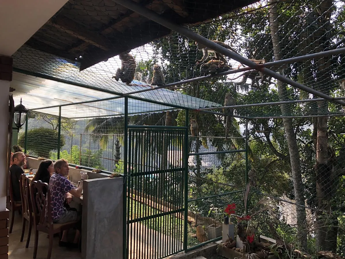 山林小屋 康提Udawatta Kele别墅